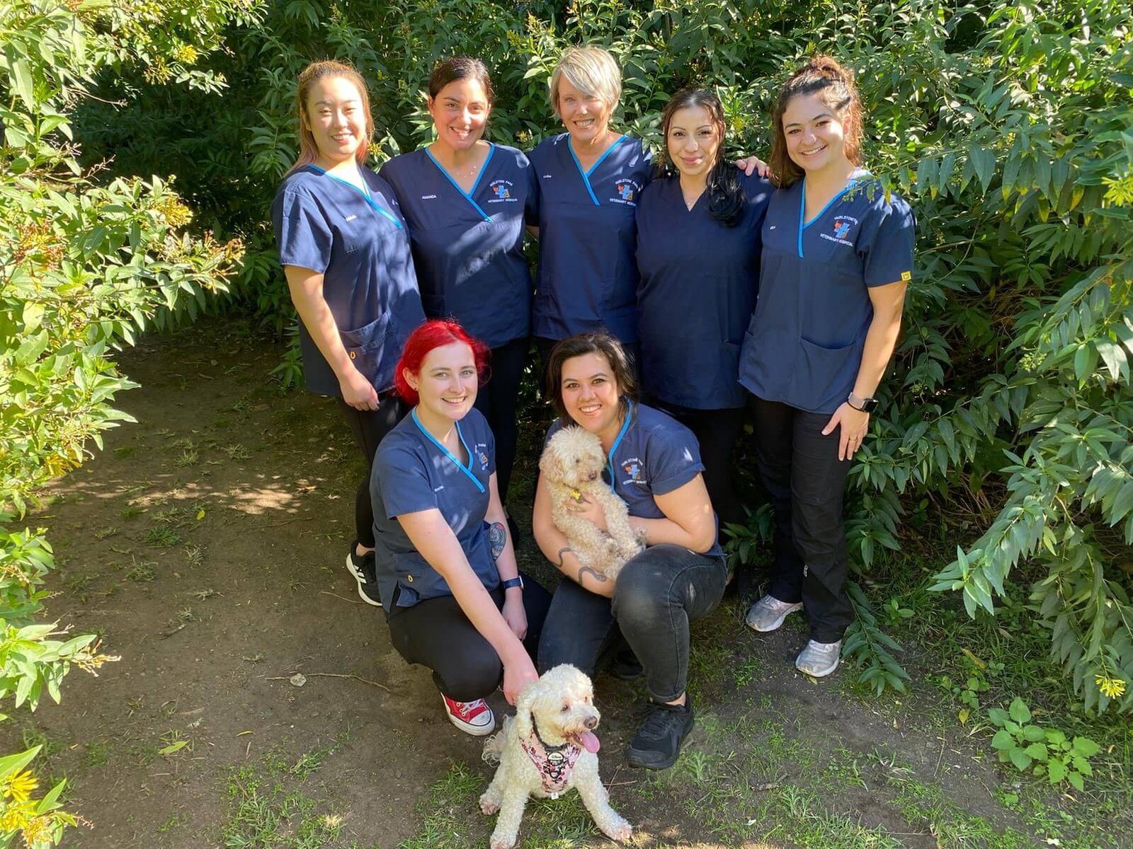 Hurlstone Park Vet nurse photo Hurlstone Park Veterinary Hospital