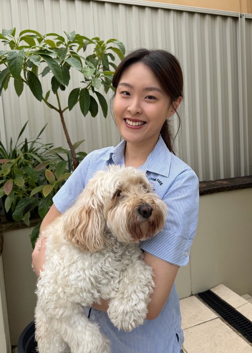 Dr. Wendy Lin